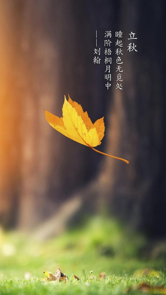 2021年立秋的具体时间 年8月7日14点37分，2021年立秋的具体时间（今天2021年8月7号）