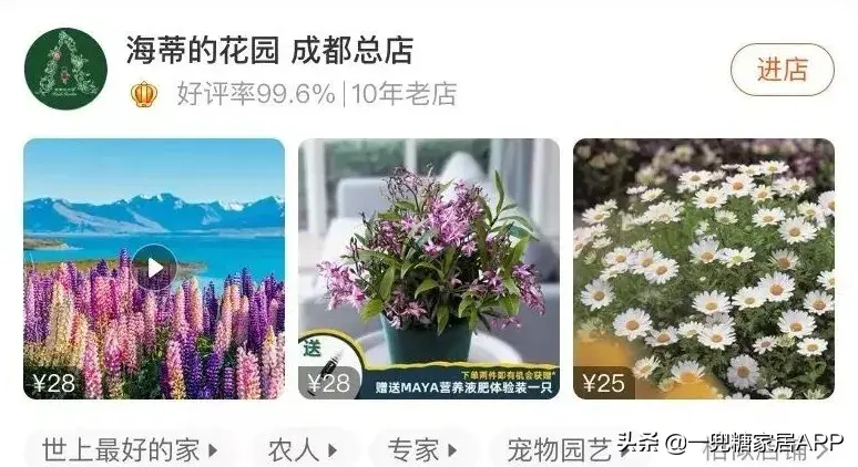 淘宝网花店(淘宝商城花卉市场)