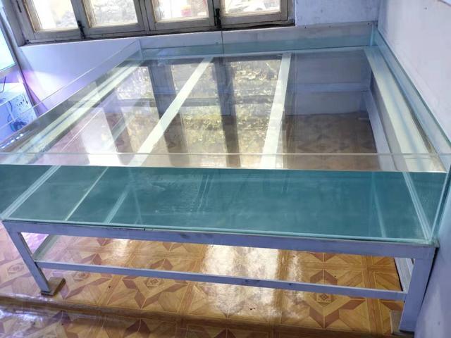 鱼乐宝正确使用方法，鱼乐宝怎么使用（鱼缸里什么试剂类东西不要添加）