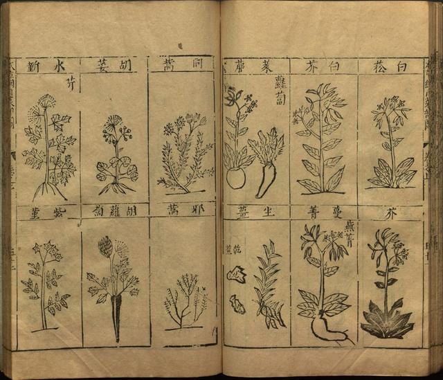 本草纲目全书带图，李时珍本草纲目全书（李时珍著《本草纲目》附图卷）