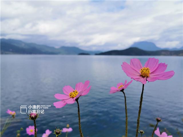 泸沽湖属于哪里，泸沽湖在哪里哪个城市（为什么人们只知道“丽江泸沽湖”）