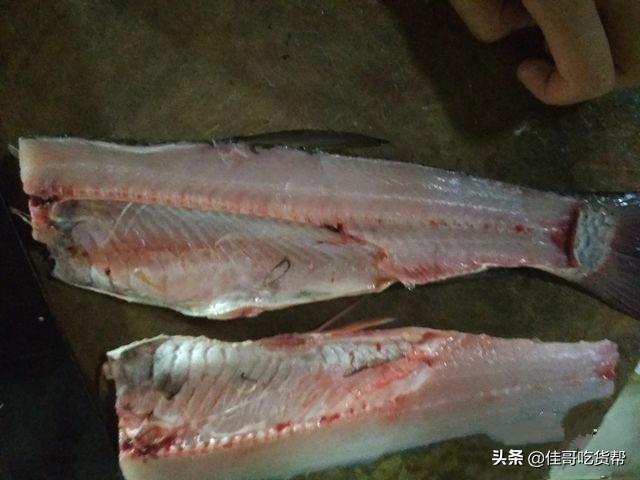 酸菜鱼怎么切鱼片，酸菜鱼的鱼片怎么腌制（教你酸菜鱼如何切鱼片没鱼刺）