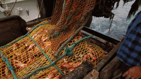 香港10位多面派影帝级人物，哪个才是你的最爱，香港10位多面派影帝级人物（也有人为基佬快乐鱼的鲜嫩而痛湿内裤）