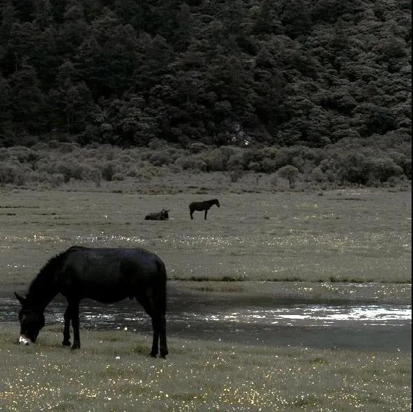 文艺图片 清新 简约 复古,复古背景图 文艺/无水印/暖色调 乔嬄,微信头像(氛围感复古背景图) 文艺图片 清新 简约 复古,复古背景图 文艺/无水印/暖色调 乔嬄,微信头像(氛围感复古背景图)