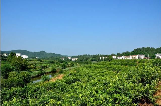 安岳石刻与玄应的由来，安岳石刻历史（这里是安岳）