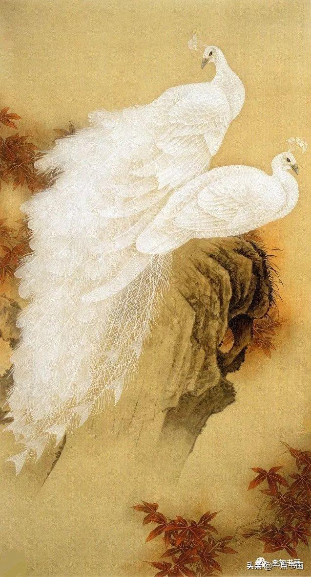 画孔雀的简笔画，如何画孔雀简笔画（国画教程——孔雀画法）