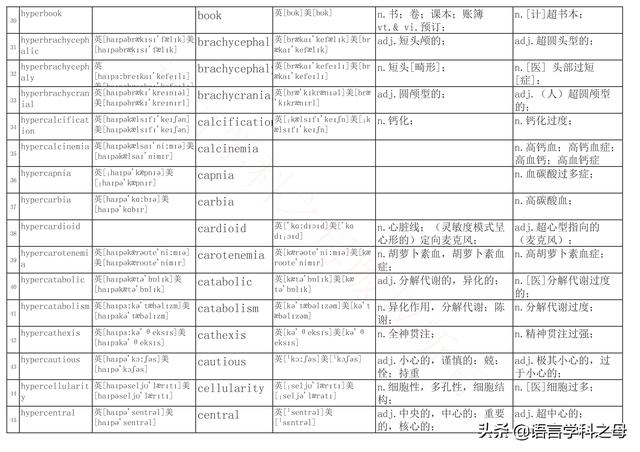 国民homo什么意思，homolive什么梗（总结了367个以hyper、240个以hypo前缀、106个以homo前缀的单词）