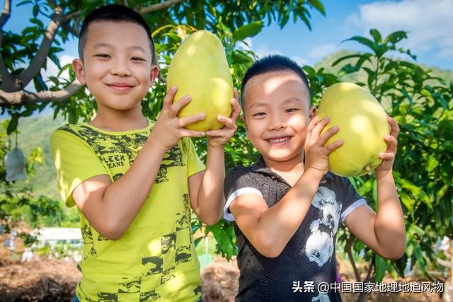 攀枝花是哪个省的城市，西部区（“四川特区”攀枝花）