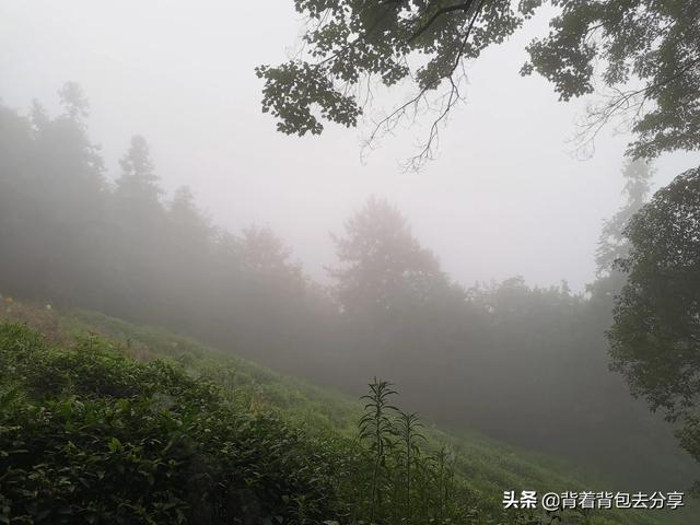 安徽有什么好玩的，仅仅只有一家景区免费开放