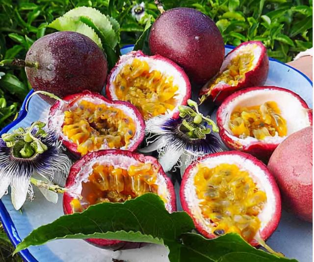 passionfruit歌词 passionfruit歌曲介绍，passionfruit歌词（被称为“果汁之王”）