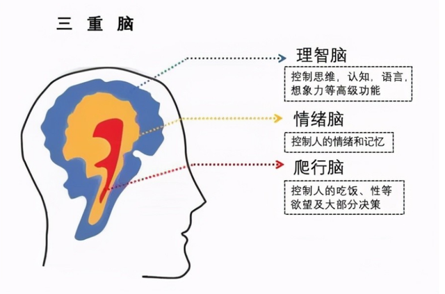 属虎的贵人属相，属虎的本命年好不好（蛇、蝎长的真是“蛇蝎心肠”吗）