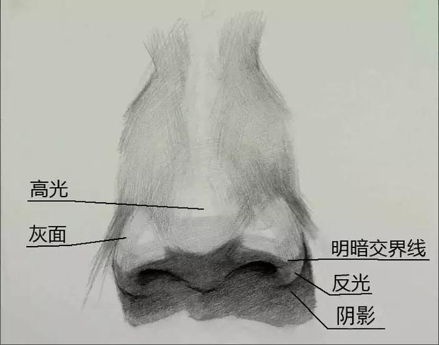 素描中明暗变化的调子，完美的素描明暗调子是怎么处理出来的