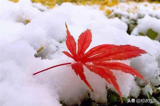 小大寒是指什么过后是什么，小大寒指的是什么（大雪节气说大雪）