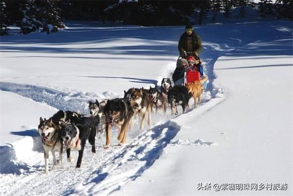 雾凇岛什么时候有雾凇，吉林省吉林市雾凇岛什么时候有雾凇（能看到雾凇的几率就是这么大）
