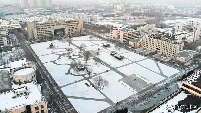 东北林业大学林学院,东北林业大学林学院的专业介绍(哈尔滨这四所高校实力爆表) 东北林业大学林学院,东北林业大学林学院的专业介绍(哈尔滨这四所高校实力爆表)