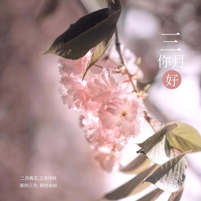 中信保诚上班靠谱吗，中信保诚保险怎么样可靠吗（今日记：从业四年小总结）