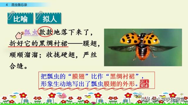 什么的硬翅，什么的硬翅？填四个字。（小学部编三年级语文下第4课《昆虫备忘录》图文+知识点+同步练习）