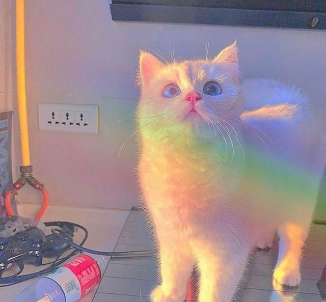 朋友圈封面图，朋友圈封面图片高清（朋友圈背景图封面图）