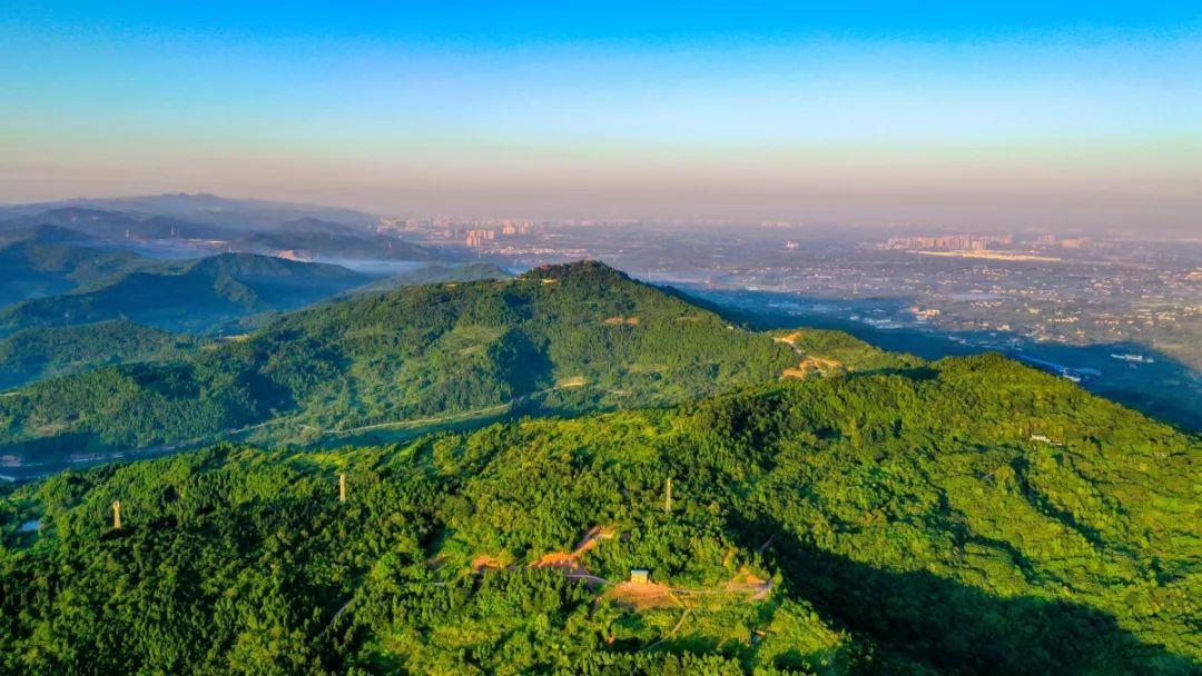 山中无岁月世上已千年，在青白江邂逅龙泉山的清晨