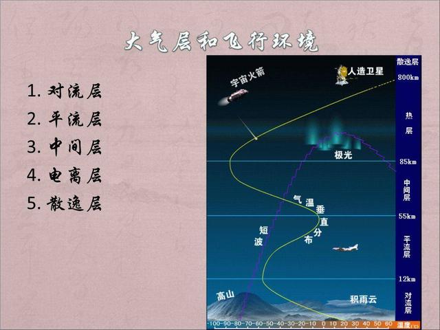 蚂蚁为什么摔不死，哪些蚂蚁有毒（蚂蚁从万米高空掉下来竟然摔不死）