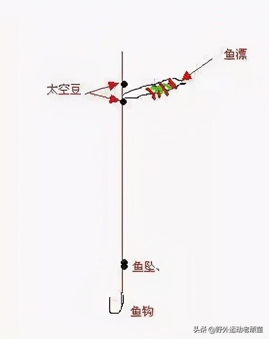 太空豆使用图解图片