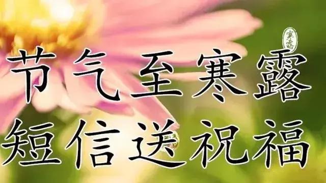 关于寒露的祝福短信，寒露祝福短语（最美的祝福送上）