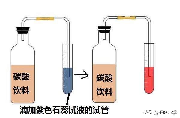 二氧化碳是有机物吗，二氧化碳的物理与化学性质及在生活中应用举例