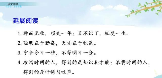 指指点点的意思，部编语文四年级下册《语文园地八》图文解读+知识点+课堂测试