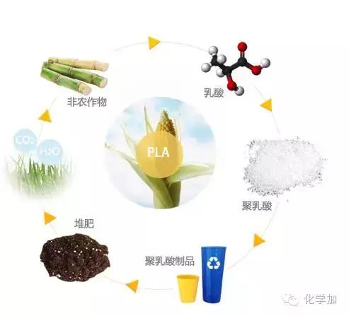 常见的可降解材料有哪些，你了解的可降解材料有哪些