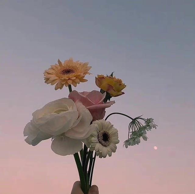 妻子出轨怎么办，发现妻子出轨怎么办（聪明的男人通常这样做）