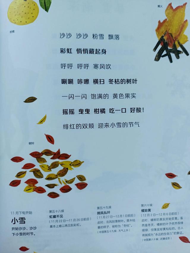 四季是按什么划分的，四季是如何划分（一年四季二十四节气）