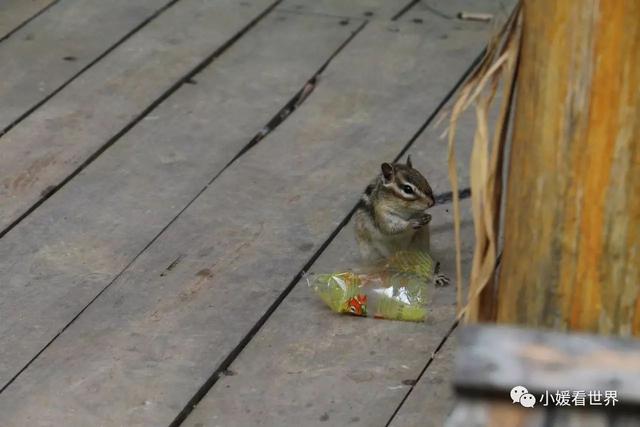 牡丹江有什么好玩的地方，敦化有什么好玩的地方（牡丹江柴河小九寨）