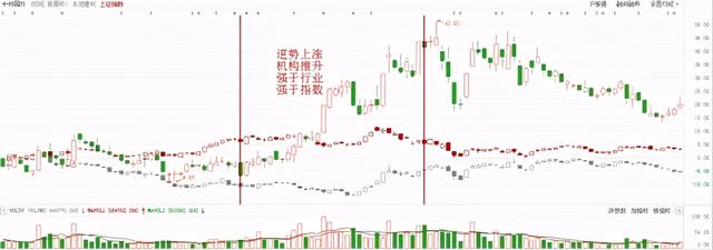 水泥股票有哪些龙头股 这三家龙头企业备受关注（碳中和之水泥领域龙头股）