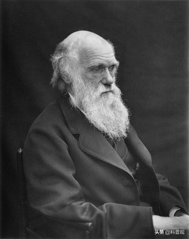 人眼的像素有多高，人眼的像素是多少（人眼像素高达5.76亿）