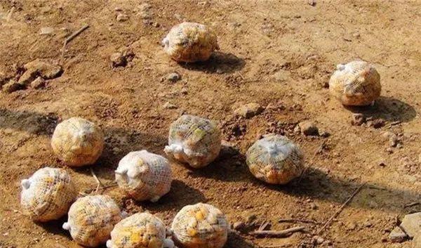 钓鱼秘籍，用什么钓鱼最容易钓到鱼（都是钓鱼老司机才会的不传秘籍）