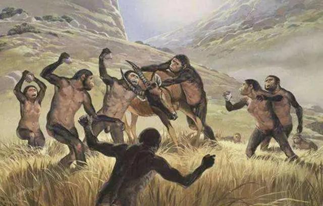 人为什么是群居动物，人为什么是群居动物不是独居（为什么大部分猛兽还是怕我们）