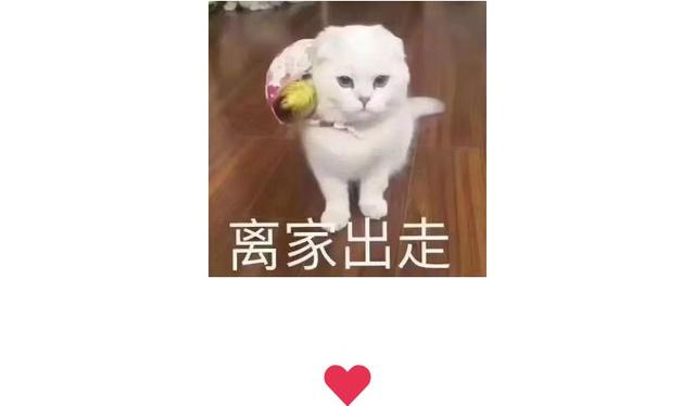 父母的心灵对话，看完我承认我是亲生的了