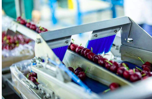 车厘子存储方式，车厘子保存方法和温度（智利车厘子用什么炼了“不坏金身”）