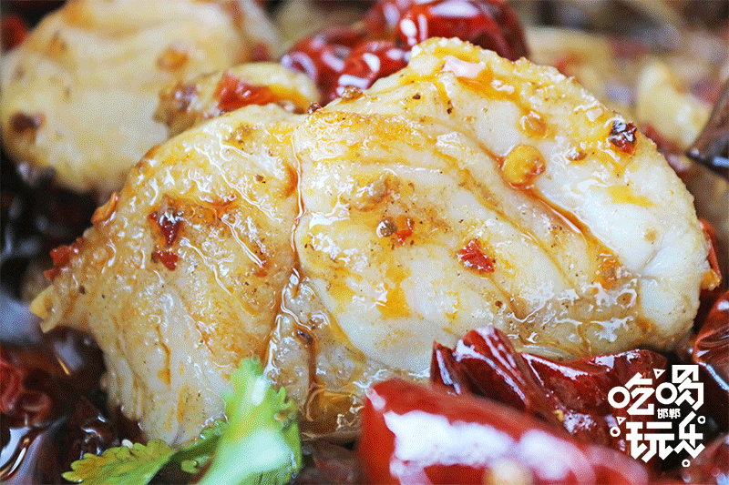 合肥齐祺渔锅地址，齐祺渔锅官网地址（邯郸这家专门吃鱼的店）