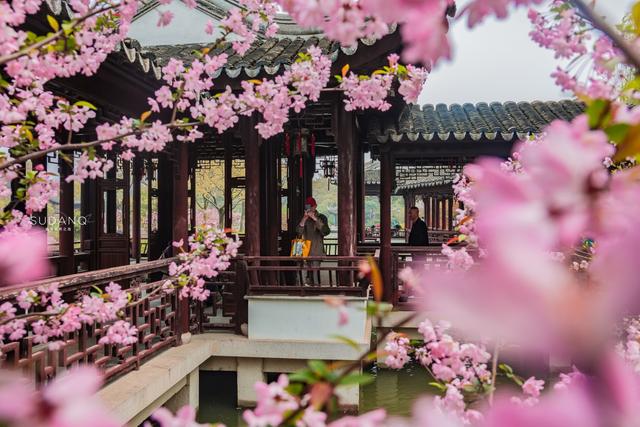 苏州虎丘古塔有多高,苏州虎丘的塔(古人修建了60余年才完成) 苏州虎丘古塔有多高,苏州虎丘的塔(古人修建了60余年才完成)