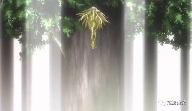 圣斗士星矢阿释密达，圣斗士星矢中阿释密达（为什么阿释密达不取木栾子而将任务给了天马）