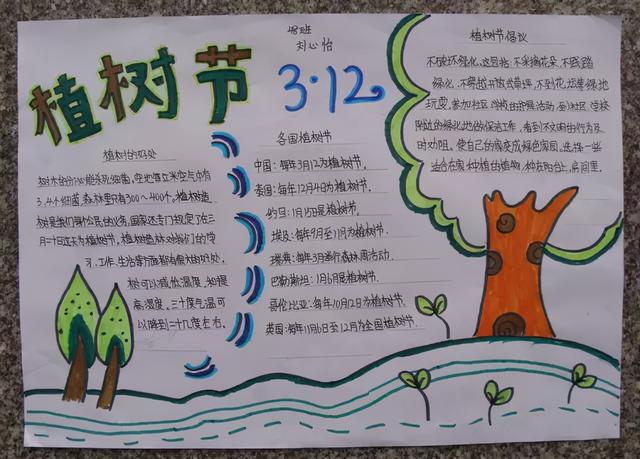 植树节黑板报内容大全，植树节手抄报内容有哪些（3.12植树节手抄报素材+模板+1~6年级作文范文）
