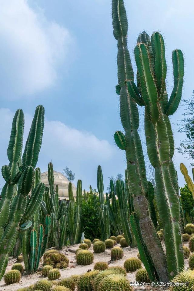 厦门最繁华的地方，厦门十大夜景最美的地方是什么（厦门却安静得令人心疼）