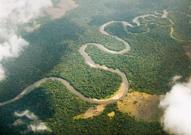 非洲的河流（分别是尼罗河、刚果河、尼日尔河和赞比西河）