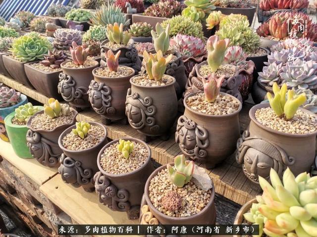 2021九·一八事变是多少周年，2021年是九一八事变的几周年（献给2021最好的春天）