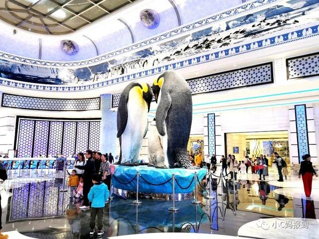 珠海长隆游玩攻略，珠海长隆游玩攻略图（带娃去珠海长隆该怎么玩）