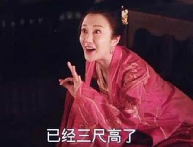 知否知否应是绿肥红瘦演员表，知否知否应是绿肥红瘦的演员（《知否》演员表被扒出）