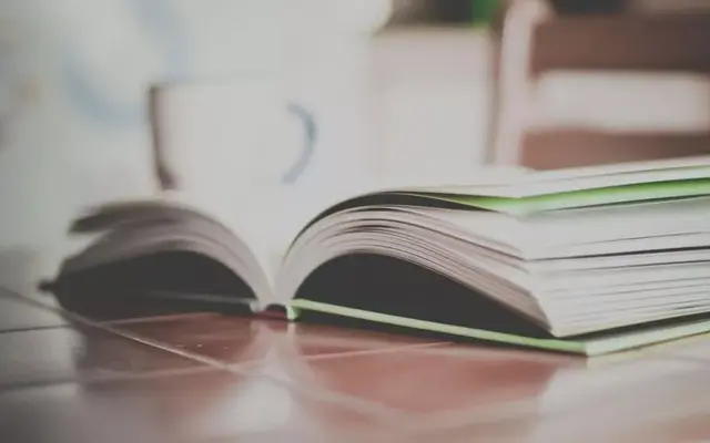 狼象征着什么精神品质，狼的十大精神（狼的精神，值得一看）