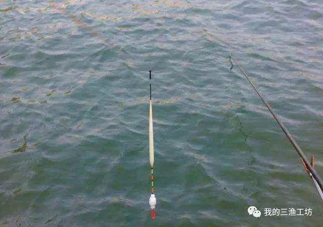 钓鱼高手必备13大实用技巧，助你轻松提升渔获效率与垂钓乐趣