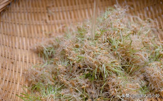 麦芽糖是什么做的，麦芽糖的制作方法及步骤（小时候念念不忘的麦芽糖）